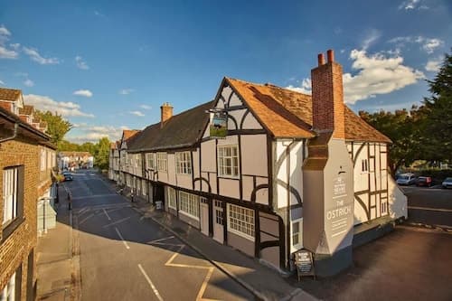 The Ostrich Inn