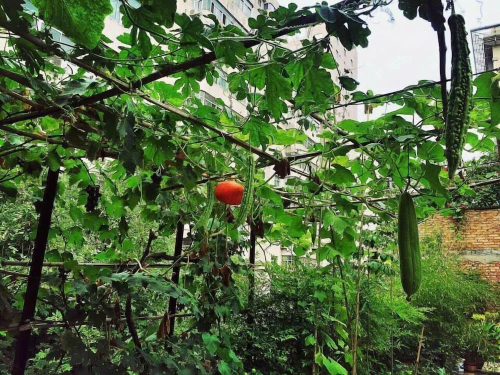 Xi'an The Facebook Youth Hostel