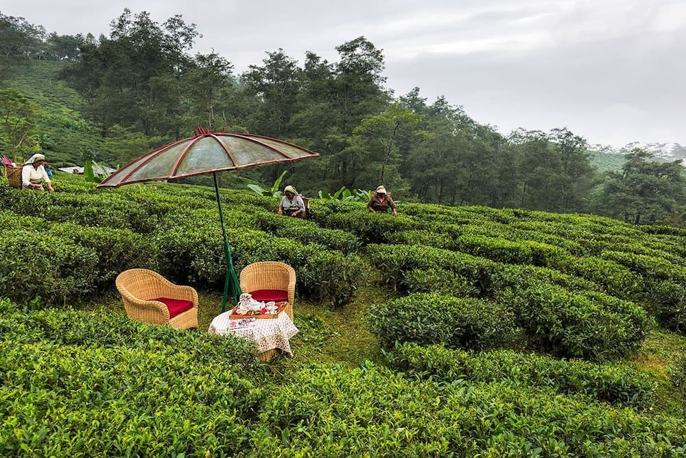 Açık havada yemek servisi