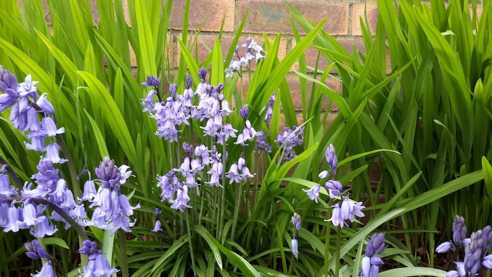 Konaklama yeri alanı