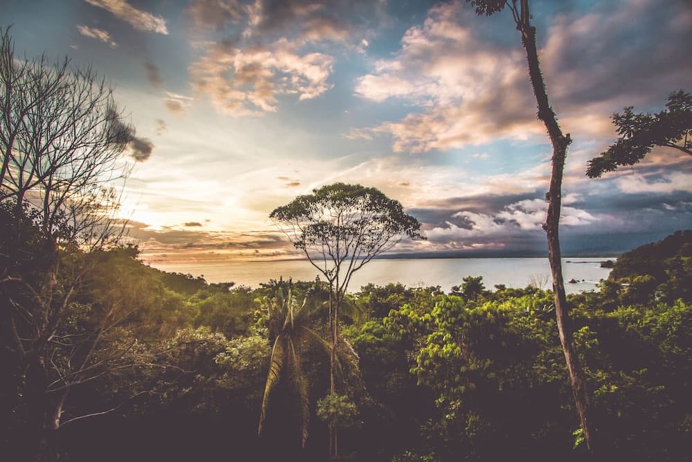 Konaklama yerinden manzara