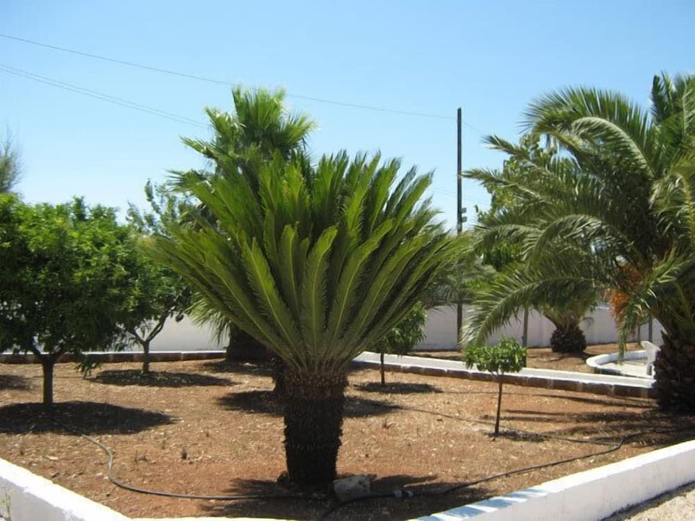 Dış mekân