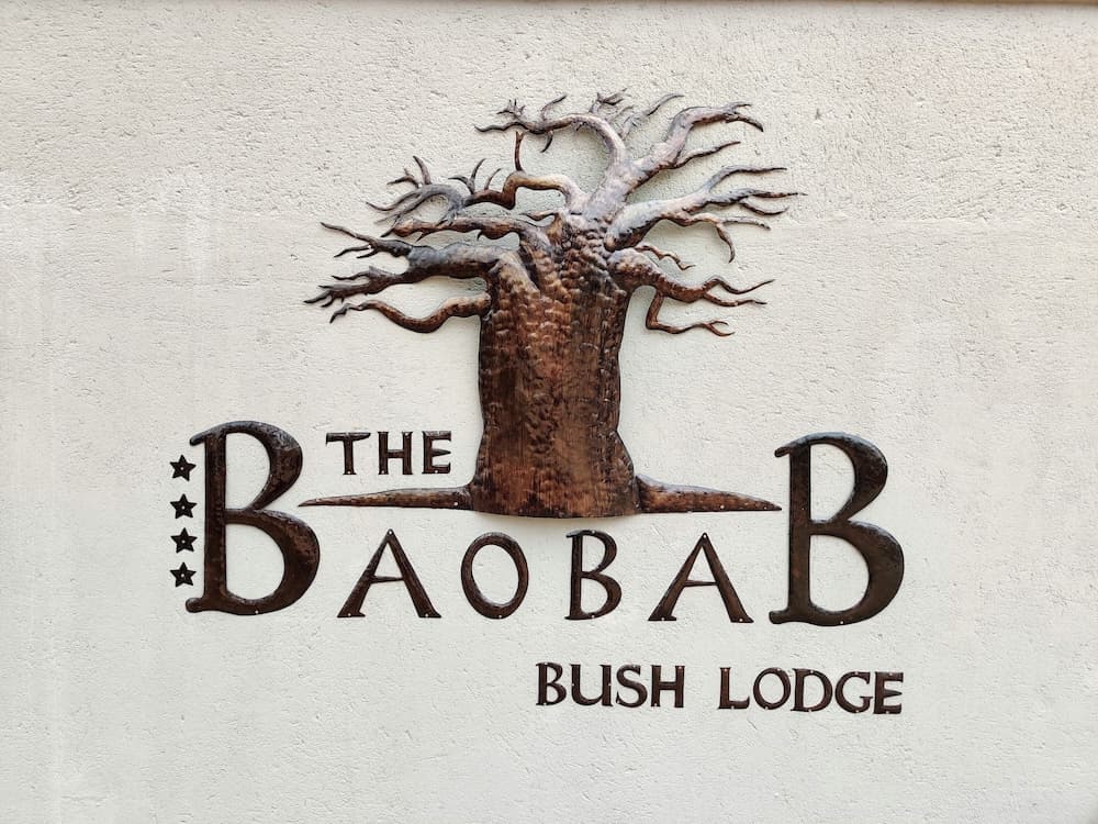 The Baobab Bush Lodge