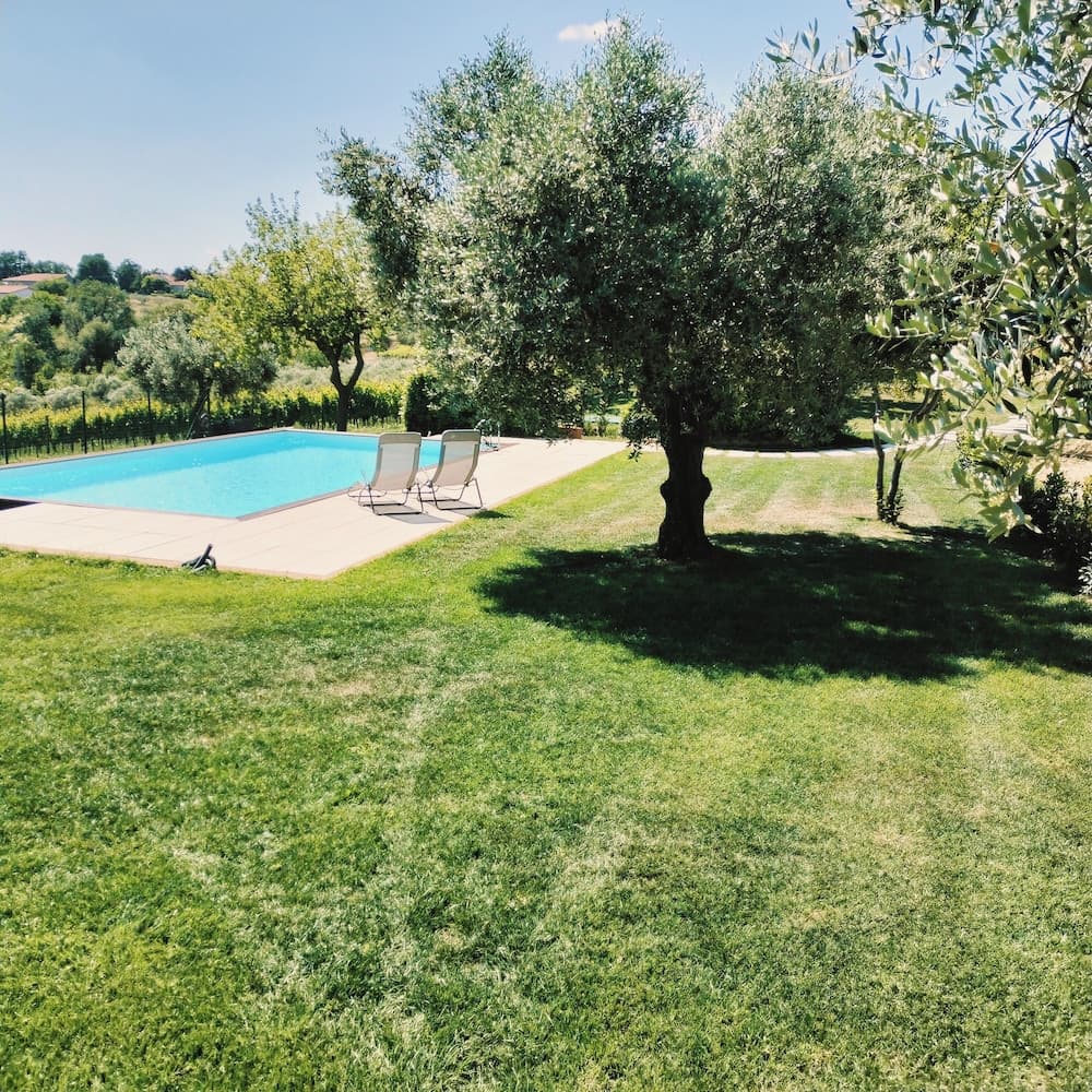 Angelucci Agriturismo con Camere e Agri Camping