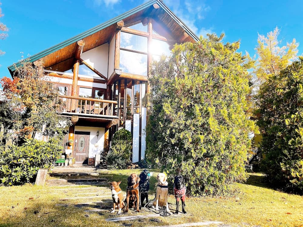 Hakuba Log Hotel Meteor