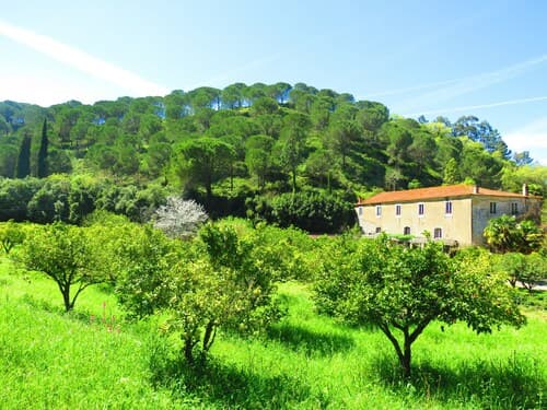Quinta de Rio Alcaide