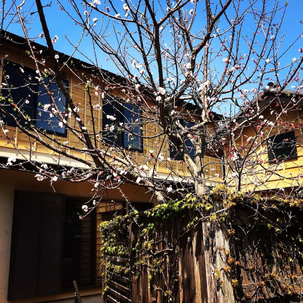 Guest House Kamakura Zen-ji - Hostel