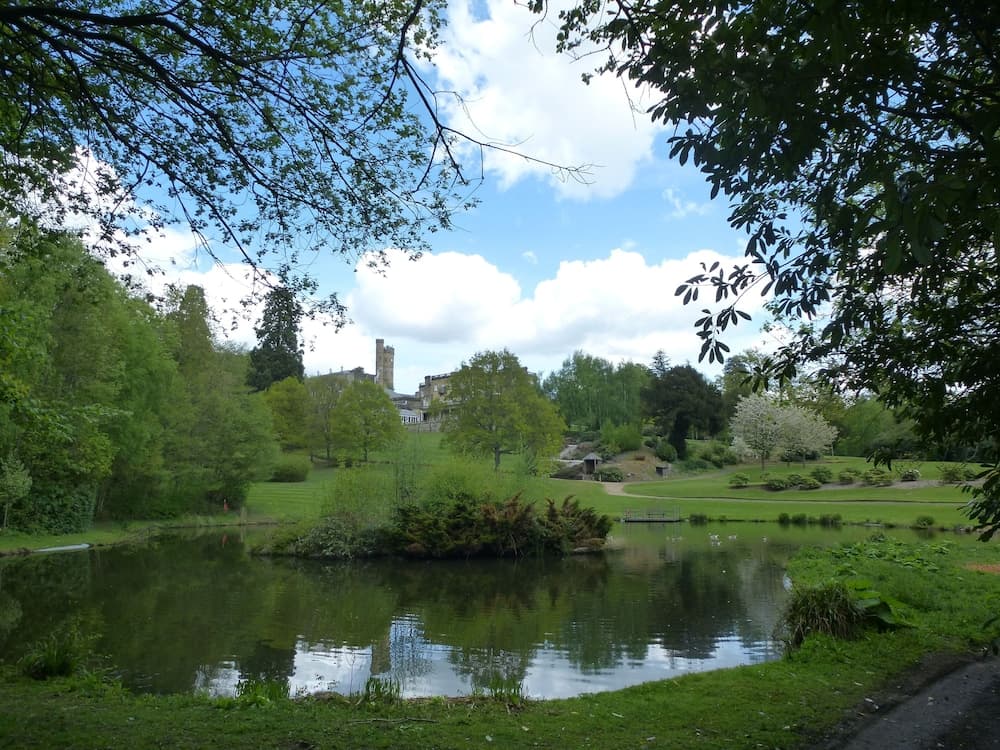 Accommodation at Salomons Estate