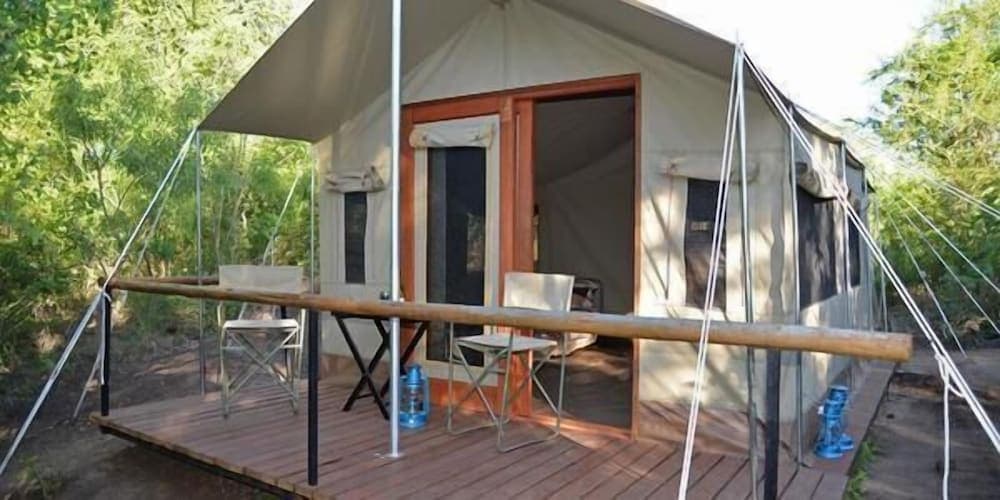 Wild Olive Tree Camp