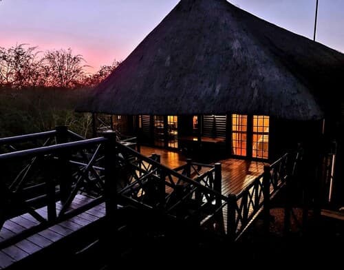 Lion Tree Bush Lodge