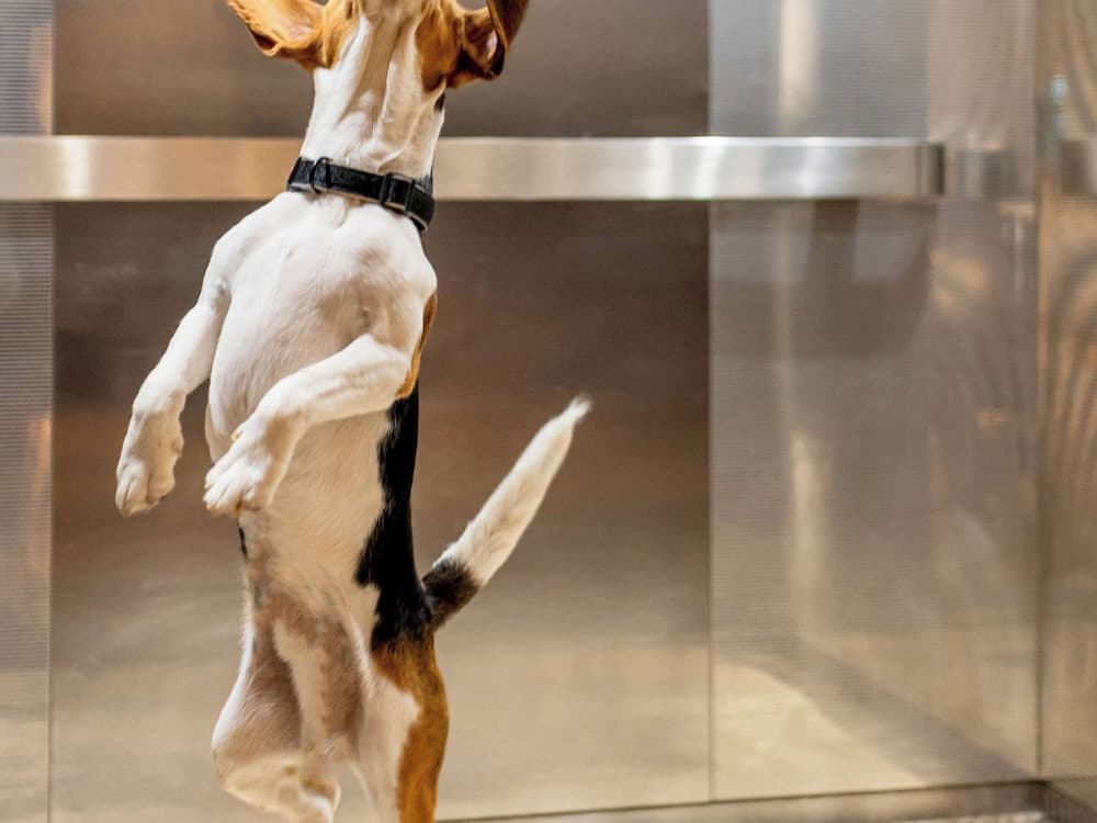 Konaklama yeri imkân ve özellikleri