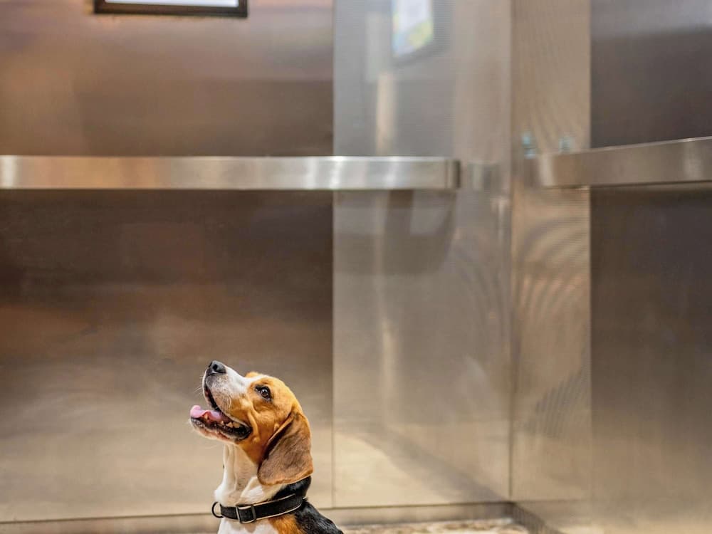 Konaklama yeri imkân ve özellikleri