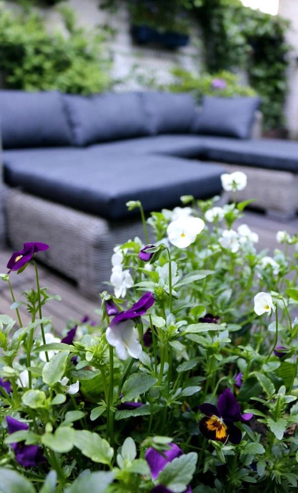 Konaklama yeri alanı