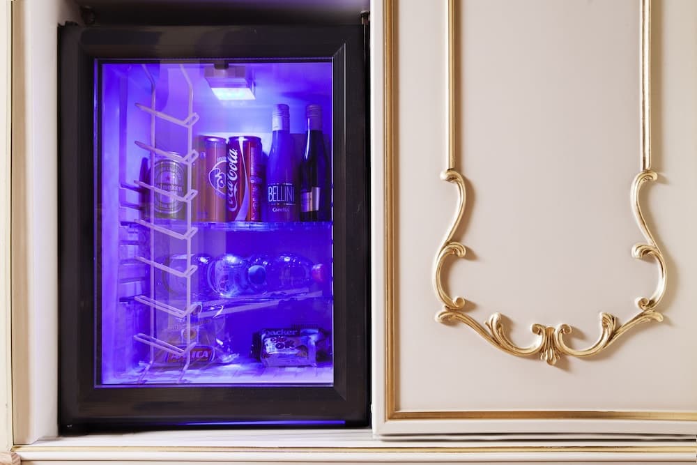 Mini buzdolabı