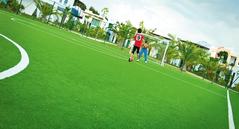 Spor sahası