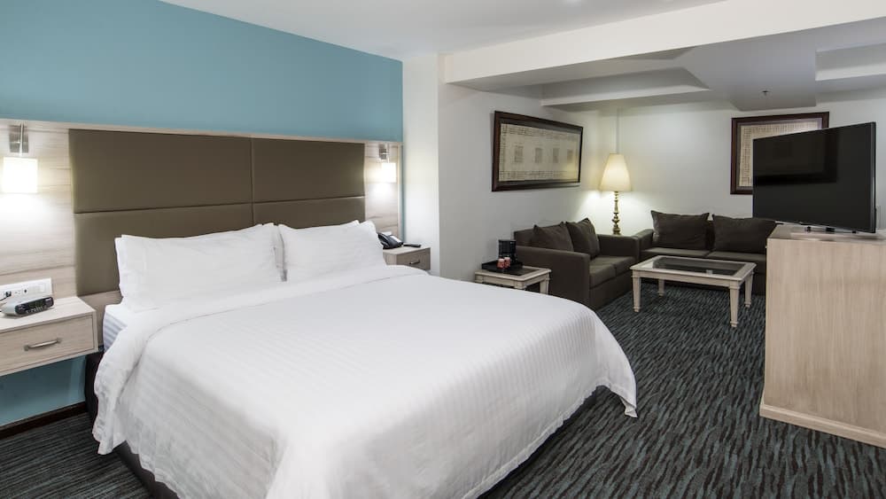 Holiday Inn & Suites Mexico Zona Reforma by IHG