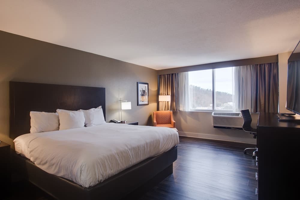 The Hotel Hot Springs