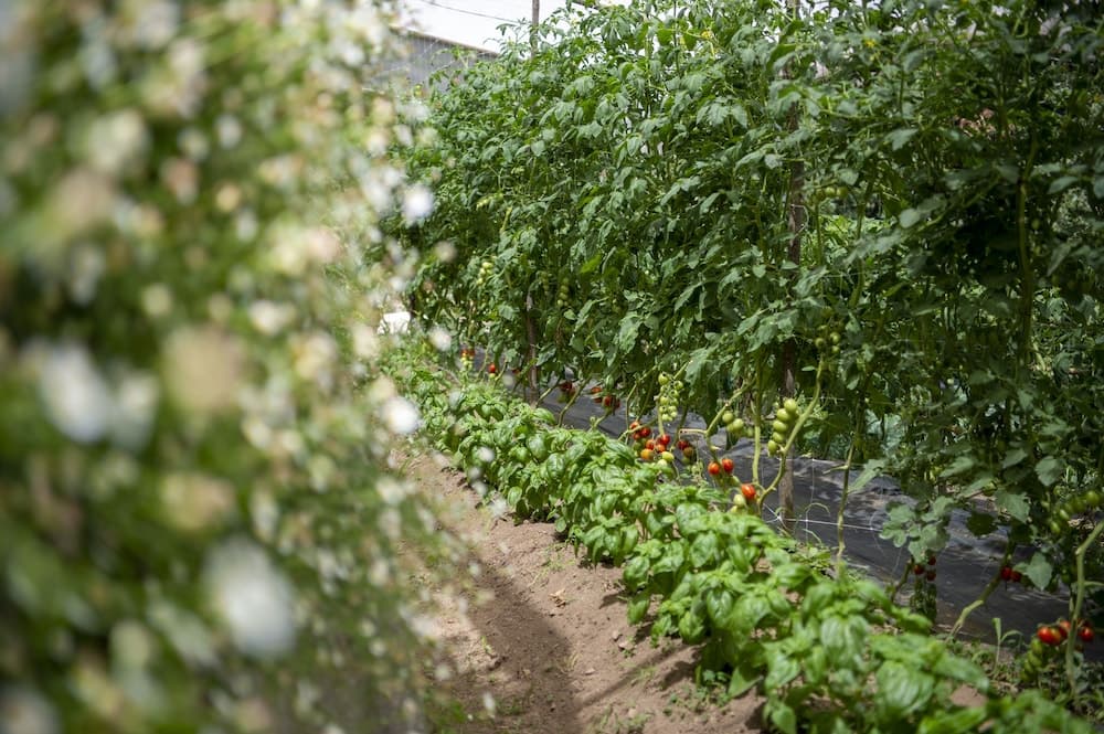 Dış mekân detayı