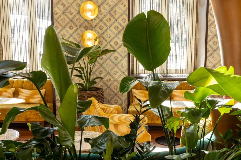 Lobi dinlenme salonu