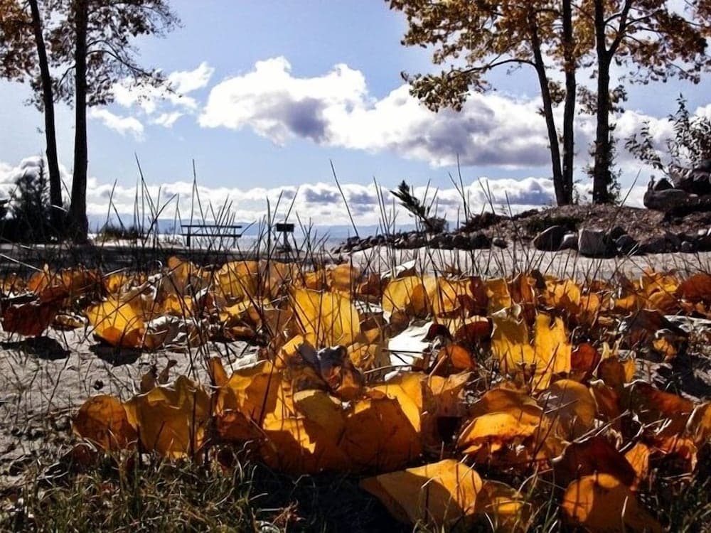 Konaklama yeri alanı