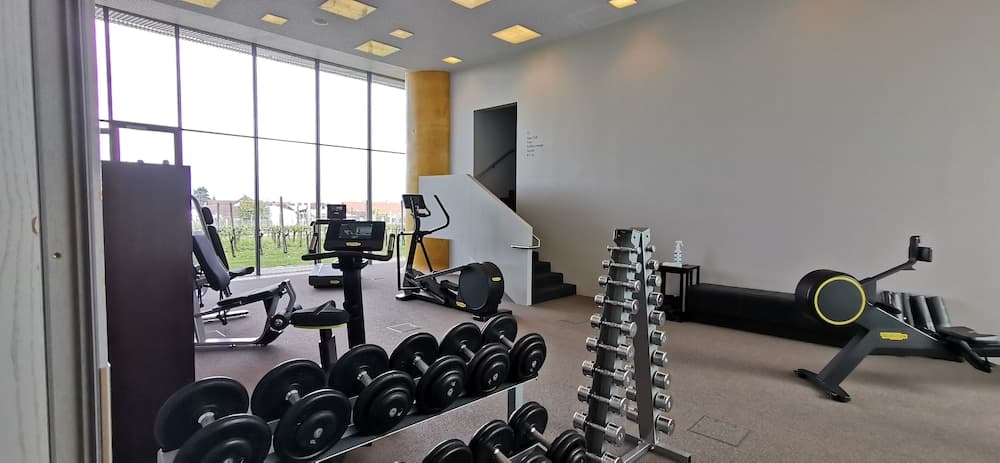 LOISIUM Wine & Spa Hotel Langenlois