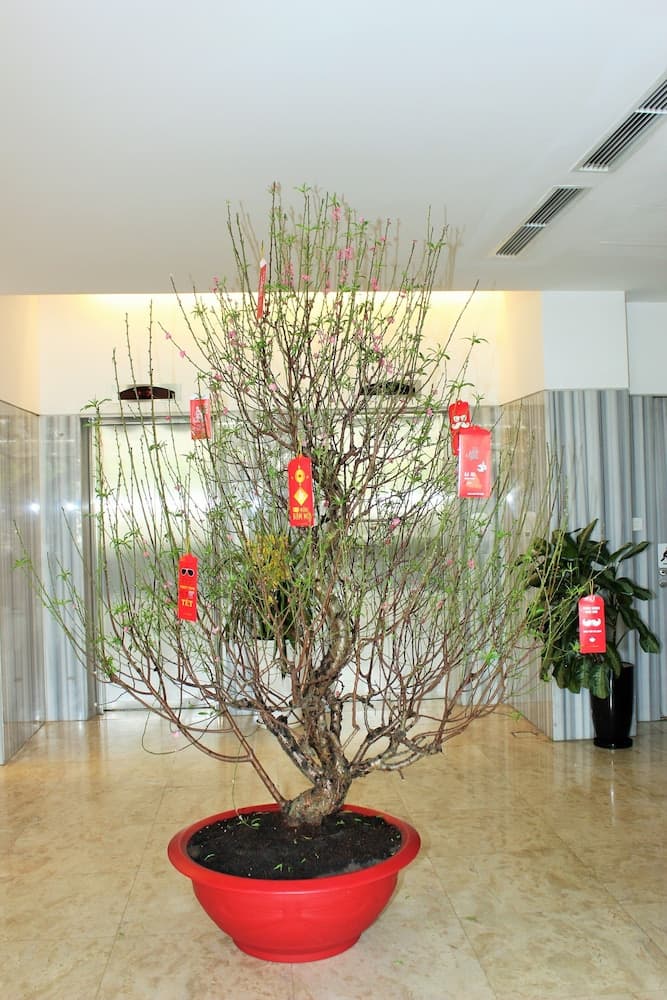 Liberty Hotel Saigon Greenview