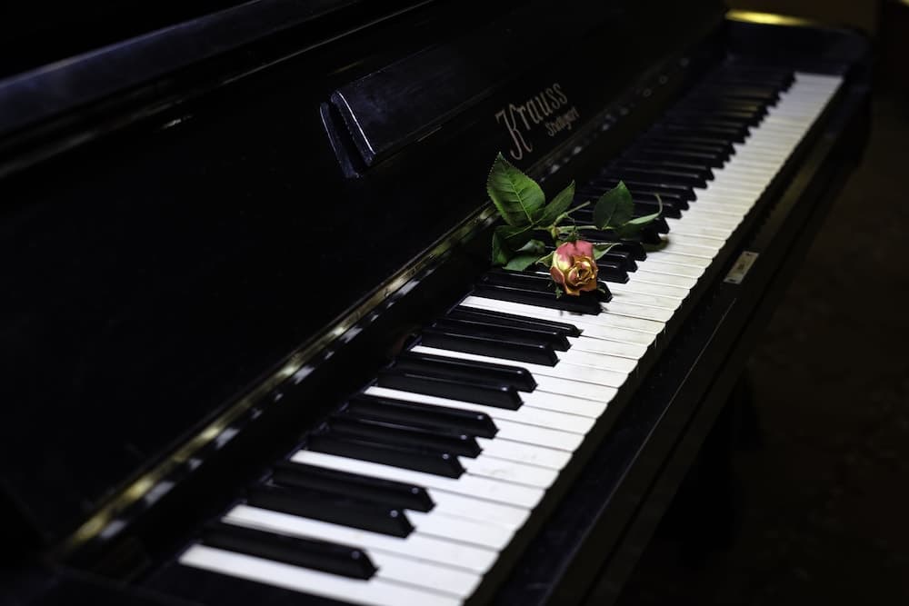 Bar (konaklama yerinde)