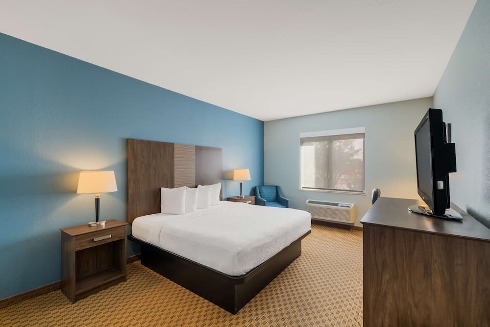 Best Western South Plains Inn & Suites