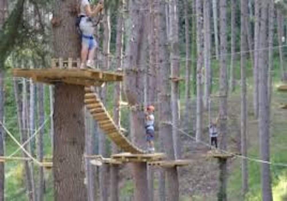 İp parkuru (ekip oluşturma)