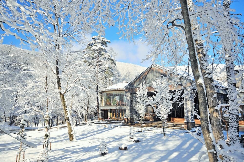 Hotel Sierra Resort Hakuba