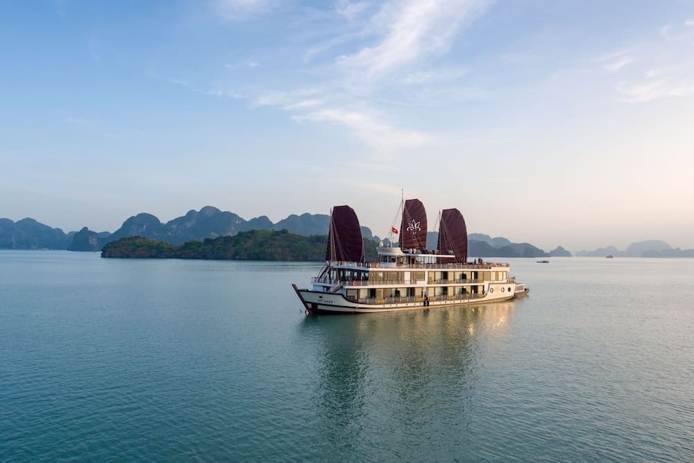 Orchid Trendy Cruise
