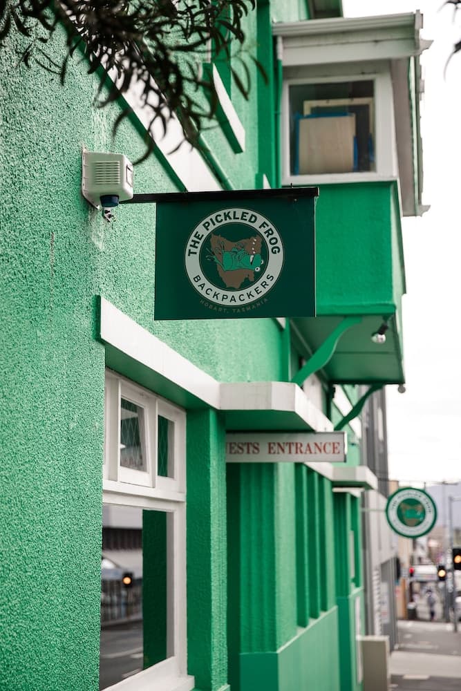 The Pickled Frog - Hostel