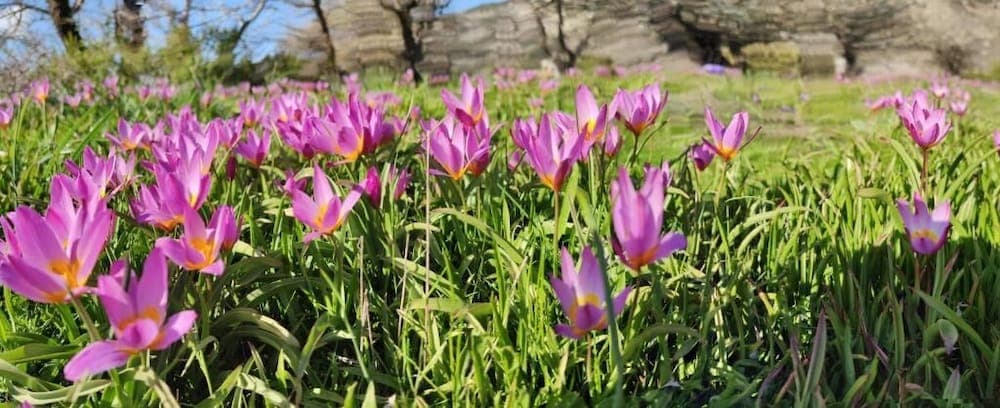 Konaklama yeri alanı