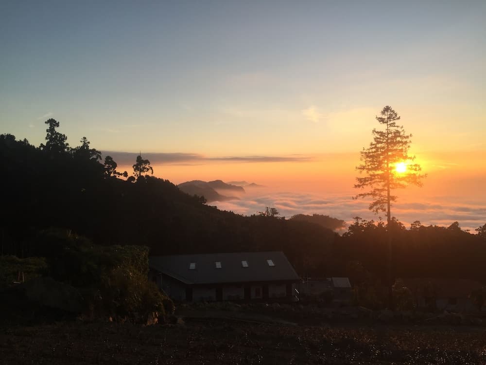 Long Yun Farm