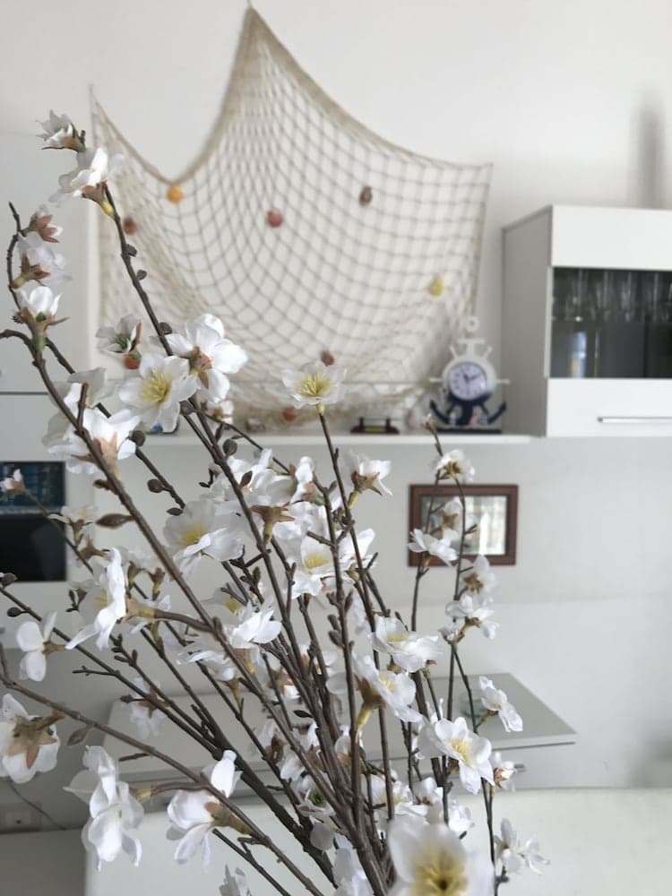 B&B Cagliari Ariosto