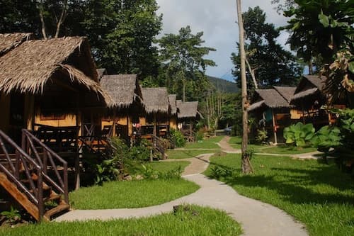 Jungle Garden
