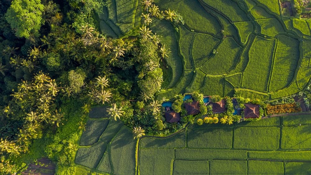 Madani Antique Villas
