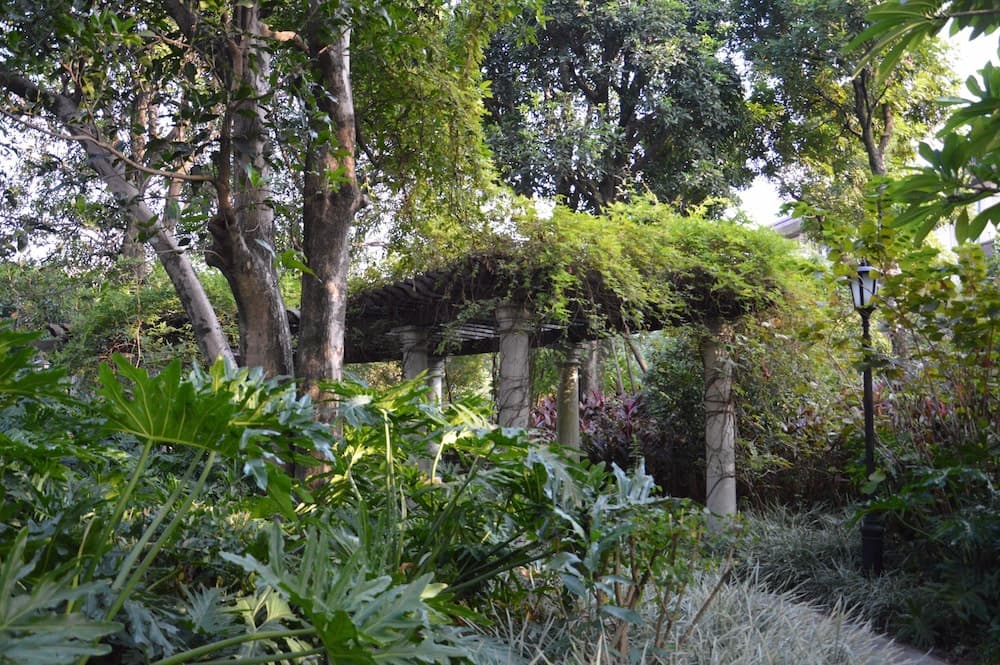 Bahçe