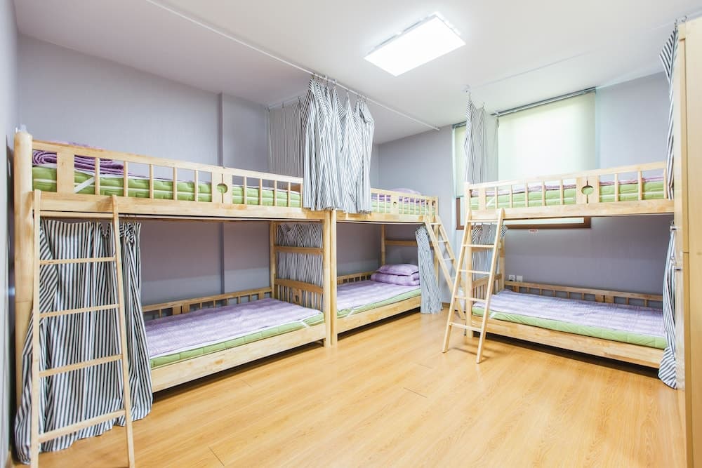 Miso Guesthouse - Hostel