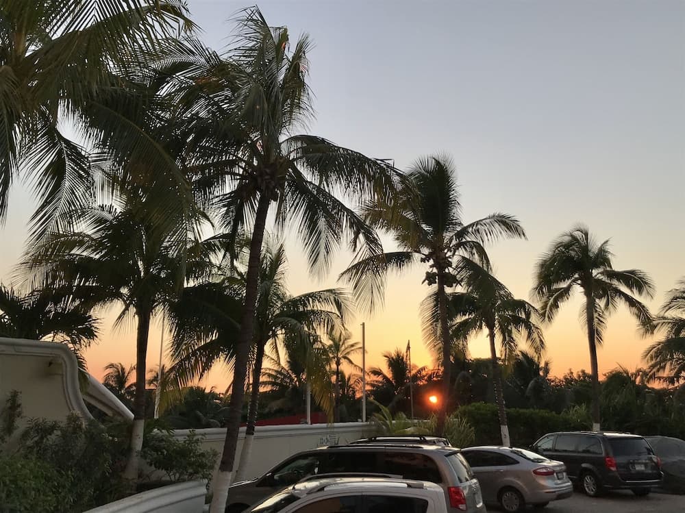 Ocean View Apartments