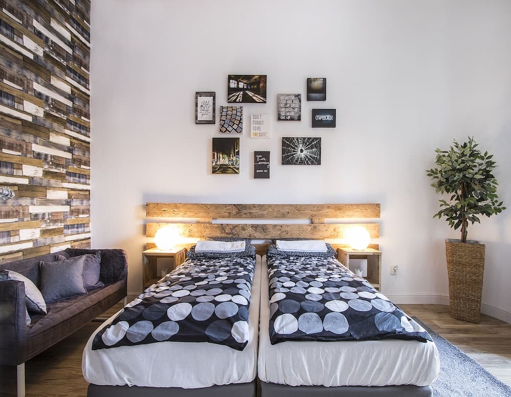 Large Central Apartments Rippl Rónai