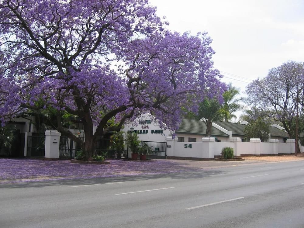 Eskulaap Hotel and Conference