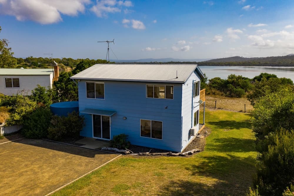 The Blue House