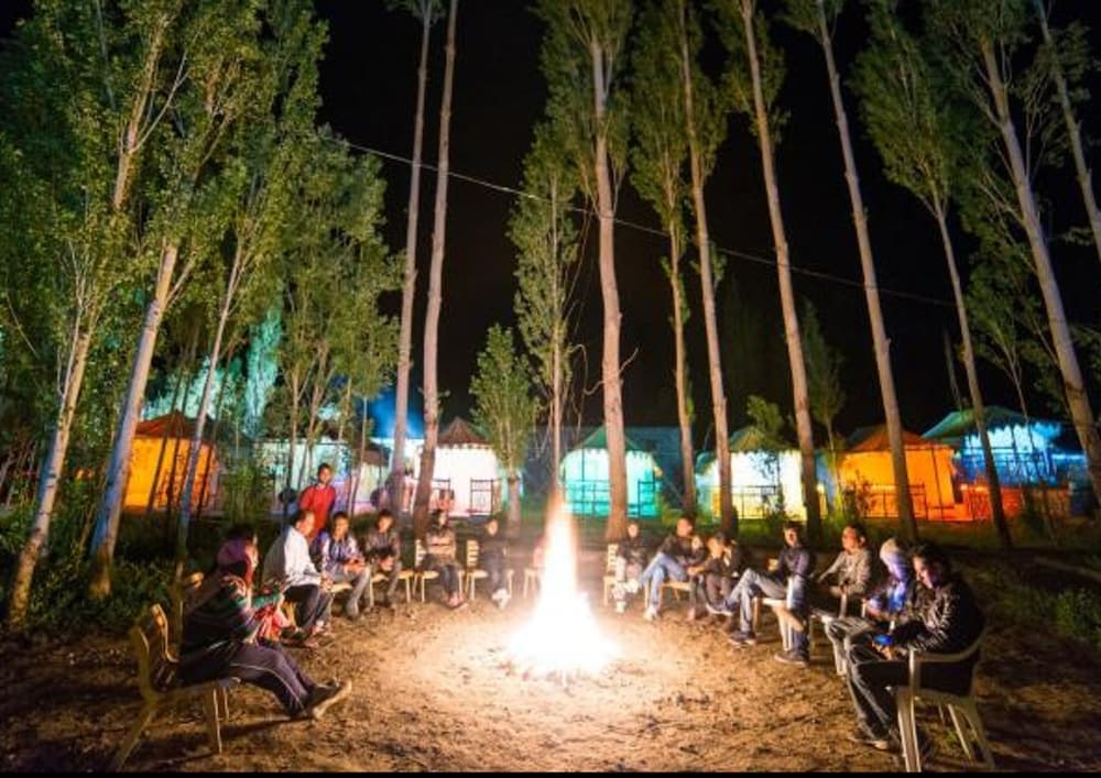 Barbekü/piknik alanı