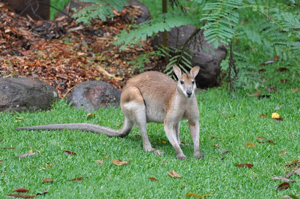 Konaklama yeri alanı