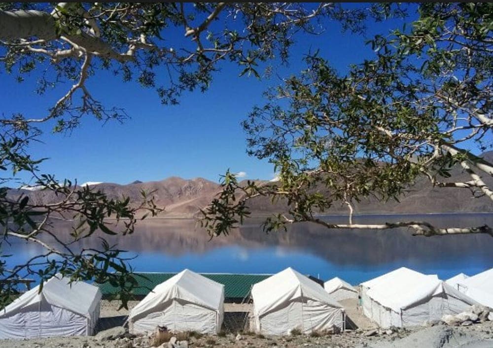 Pangong Heritage Camp