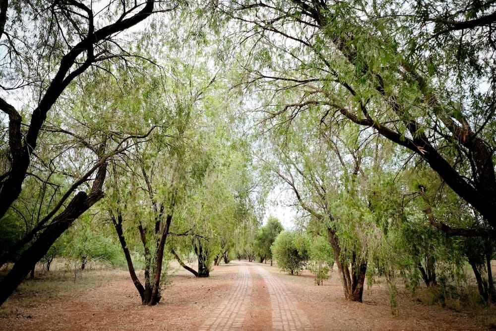 Konaklama yeri alanı