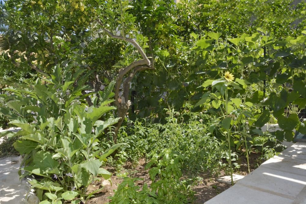 Konaklama yeri alanı