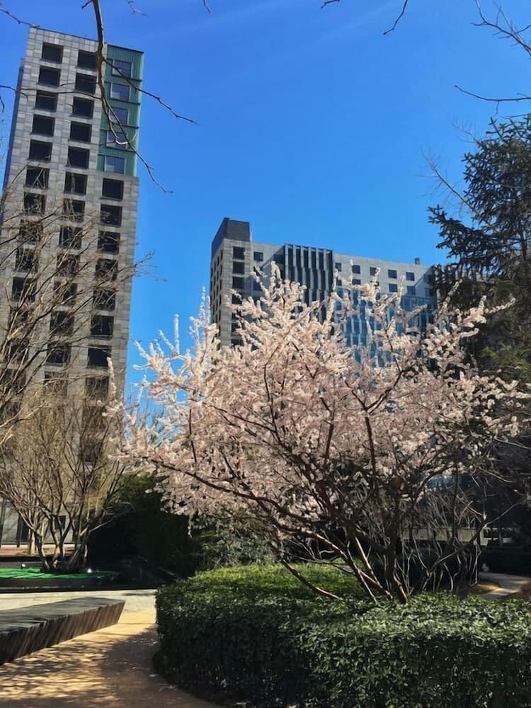 Beijing Yilejia Apartment