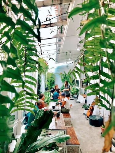The Park Society - Hostel